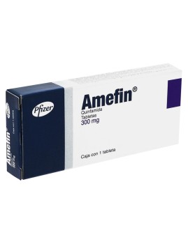 AMEFIN QUINFAMIDE 300 MG 3 TABS