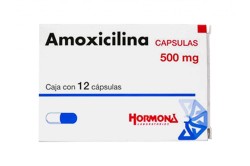 AMOXICILLIN GENERIC 500 MG 24 CAPS