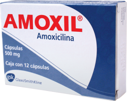 AMOXIL AMOXICILLIN 500 MG 12 CAPS